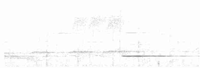 Tinamou cendré - ML84961321