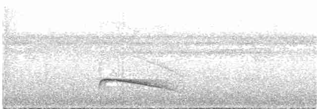 Тиран-плоскодзьоб темнохвостий - ML85006121
