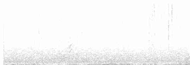 Краснозобая казарка - ML85012701