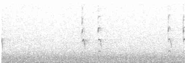 Troglodyte des forêts - ML85042171