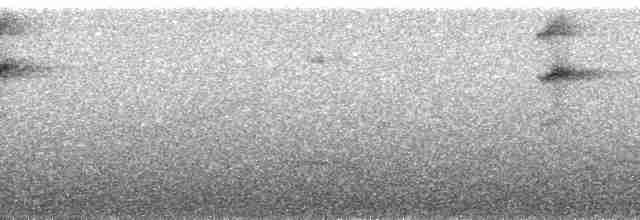 Black-eared Hemispingus (Black-eared) - ML85073