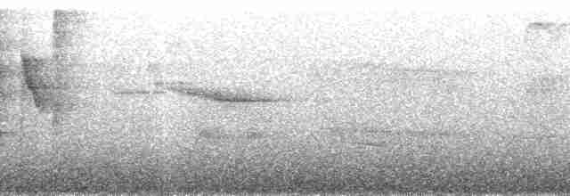 Black-eared Hemispingus (Black-eared) - ML85084