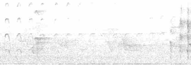 Haarspecht [villosus-Gruppe] - ML85106