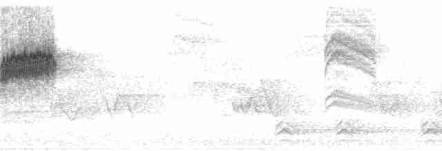 Cerulean Warbler - ML85114