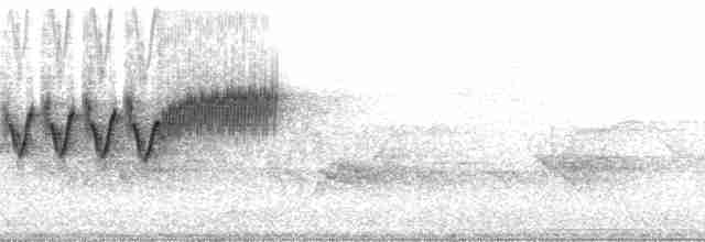 Cerulean Warbler - ML85129