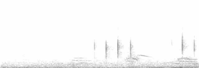 Дятел-смоктун сосновий - ML85131591
