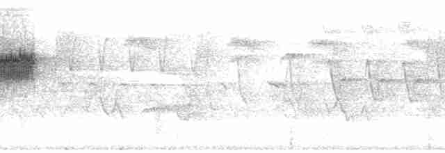 lesňáček modropláštíkový - ML85132