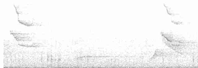 Spot-crowned Woodcreeper - ML85175921