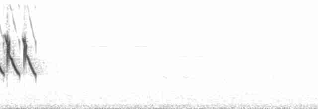 Kara Gözlü Junko (hyemalis/carolinensis) - ML85243