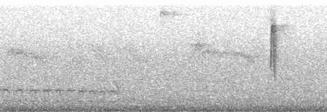 Black-eared Hemispingus (Black-eared) - ML85343