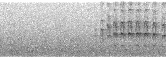 Strichelbaumspäher - ML85368