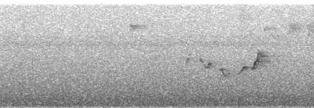 Vireo Coronipardo - ML85370