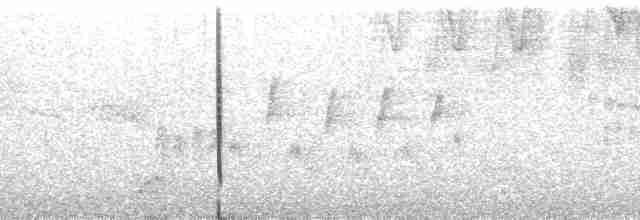 Клиноклювый колибри - ML85375