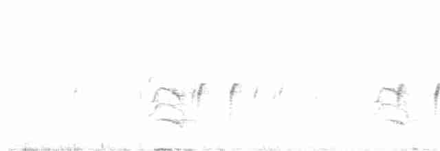 "Шишкар ялиновий (Sitka Spruce, або тип 10)" - ML85505801