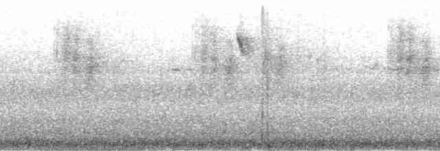 Alev Suratlı Tangara (parzudakii/urubambae) - ML85506
