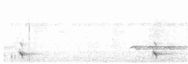 White-tailed Trogon - ML85512891