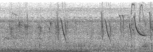Краногорлая ласточка - ML85523