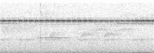 Stripe-throated Wren - ML85561561