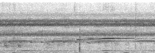 Açık Göğüslü İlladopsis - ML85569
