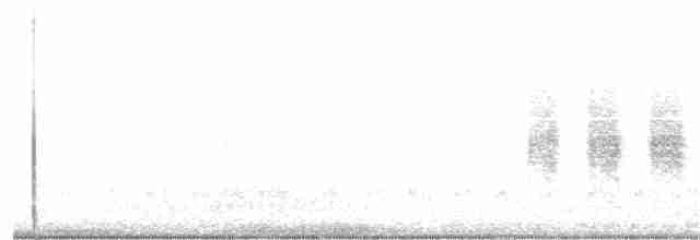 Kara Kuyruklu Bitkuşu - ML85586791