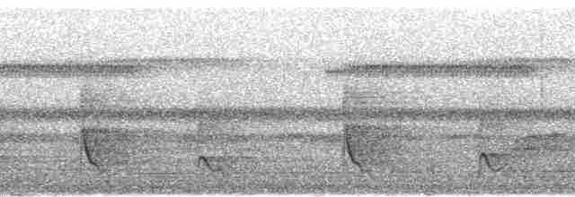 Bulbul Manchado (notatus) - ML85654
