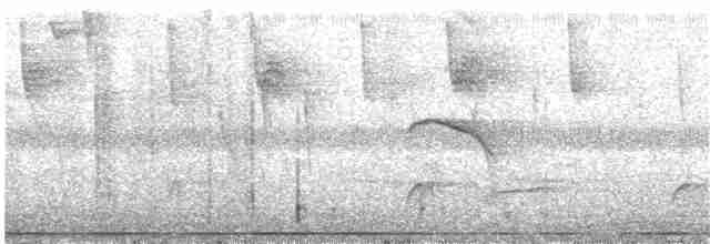 Тапіранга білодзьоба - ML85735561
