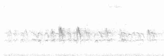 "Шишкар ялиновий (Western Hemlock, або тип 3)" - ML85811761