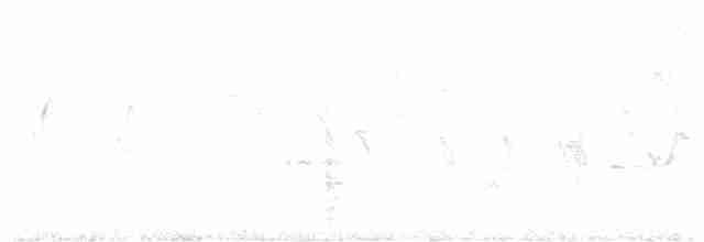 Red Crossbill (Western Hemlock or type 3) - ML85811781