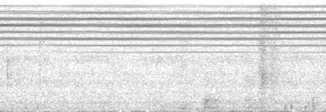 Сплюшка мадагаскарська (підвид rutilus) - ML85827