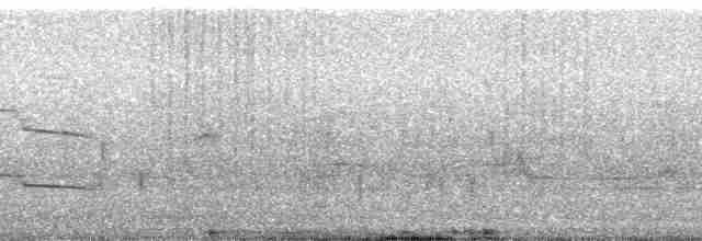 Kırlangıç Kuyruklu Martı - ML85924