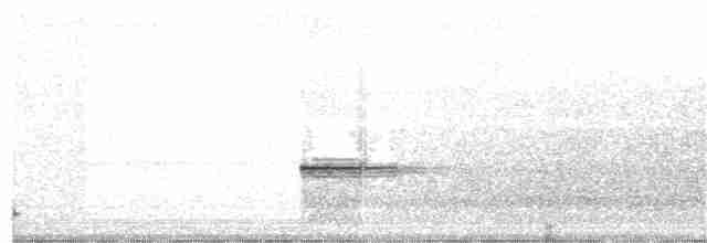Turuncu Ardıç - ML85926361