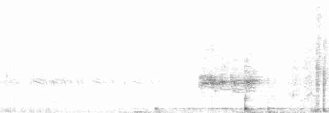 Землянчик опунцієвий - ML85929