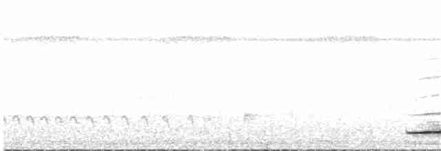 Undulated Tinamou - ML85931151