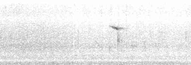 Gray Warbler-Finch - ML85947