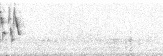 Gray Warbler-Finch - ML85974