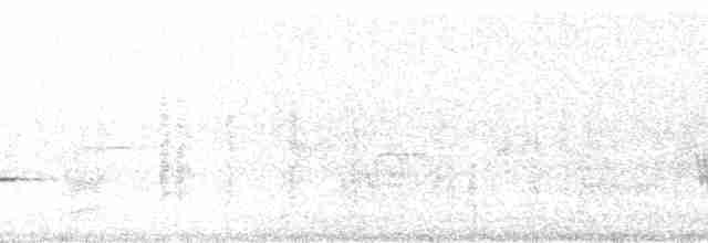 Хеновесский галапагосский вьюрок - ML85986