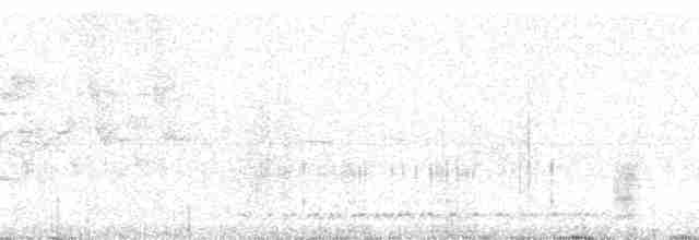 Большой галапагосский вьюрок - ML85987