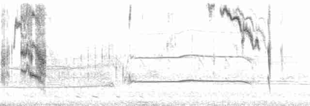 Большой галапагосский вьюрок - ML85988
