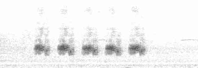 genovesakaktusspurv - ML85995