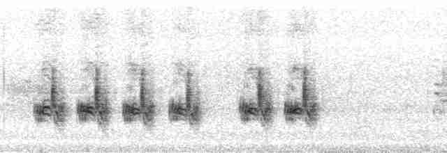 genovesakaktusspurv - ML85998