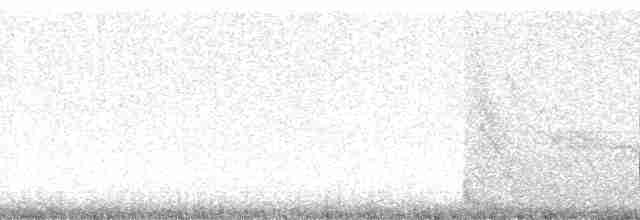 Малый галапагосский вьюрок - ML85999