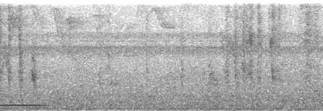 holub bledoprsý - ML86006