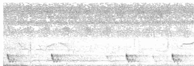 Large-tailed Nightjar - ML86073991