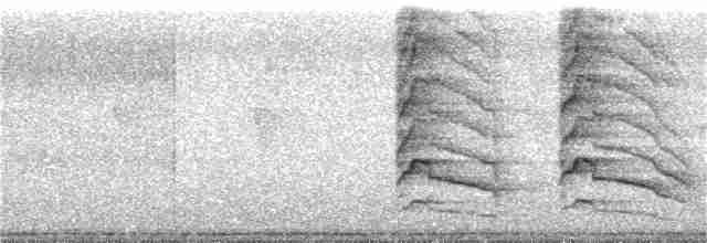 Красноплечий канюк (elegans) - ML86123021