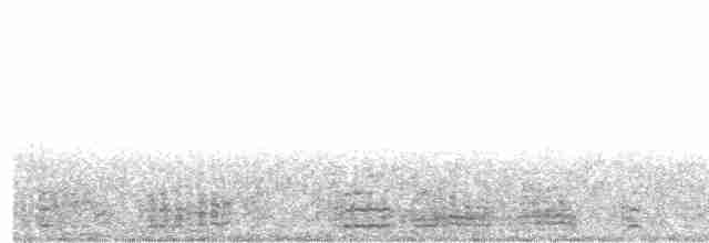 Bernache cravant (hrota) - ML86163631
