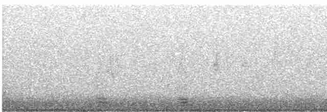 Black-crowned Night Heron - ML86341491