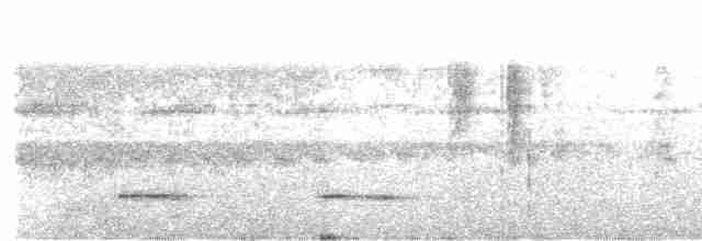Graubrust-Ameisendrossel - ML86360701