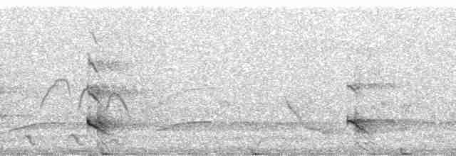 אנפית מנגרובים (עולם ישן) - ML86452