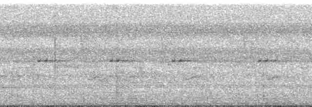 Гіла чорновола [група formicivorus] - ML86591