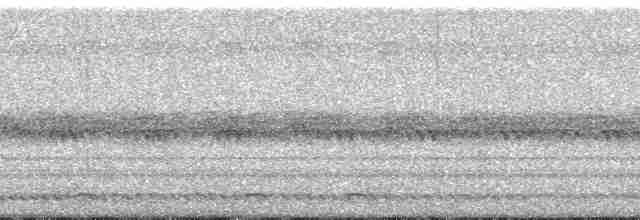 Сичик-горобець гірський (підвид gnoma) - ML86593